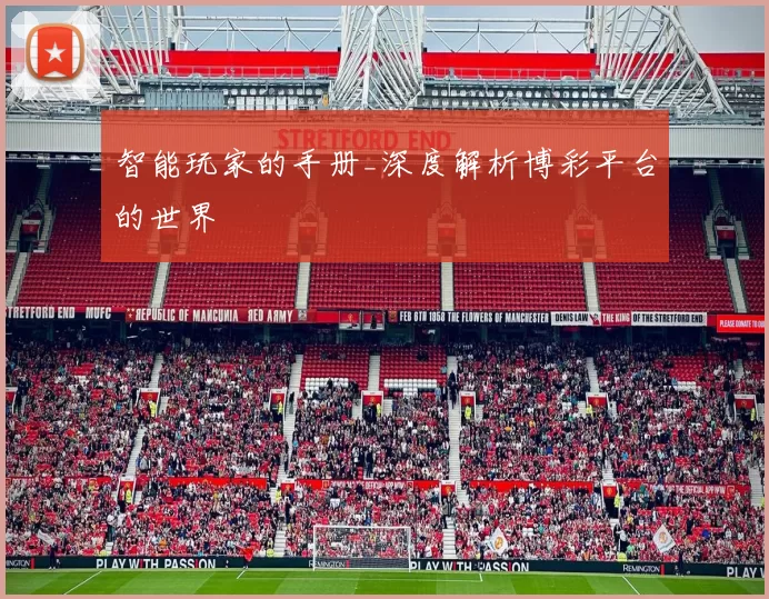 智能玩家的手册_深度解析博彩平台的世界