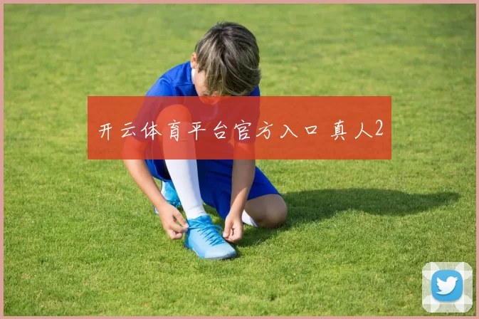 开云体育平台官方入口 真人2